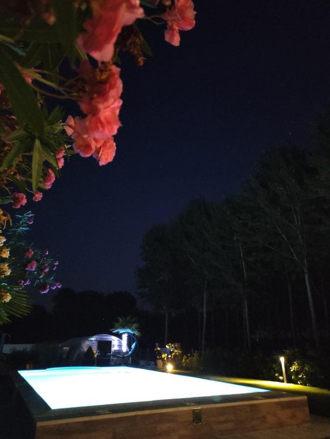 Rb Bed & Breakfast Gaiba 외부 사진
